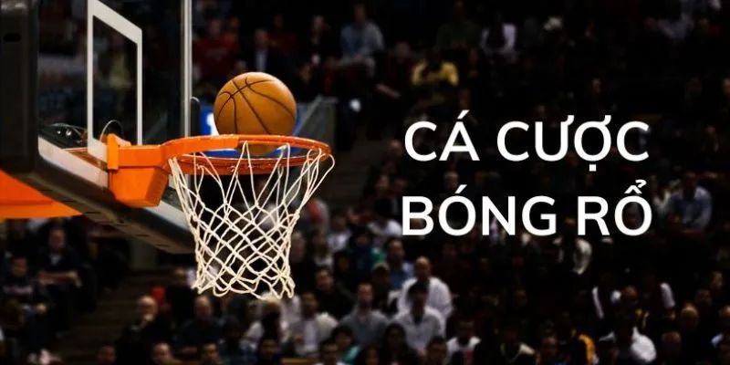 Tổng quan về cá cược bóng rổ